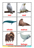 Arctic animals-6-A4.pdf